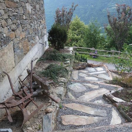 Agriturismo Al Castagneto Villa Mazzo di Valtellina Buitenkant foto