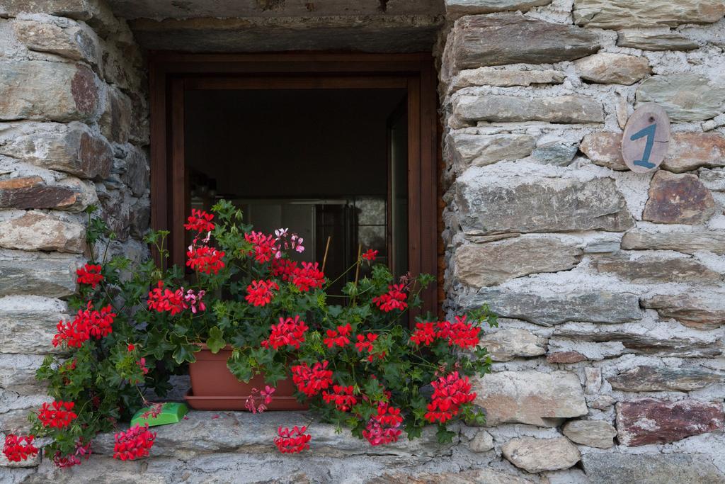 Agriturismo Al Castagneto Villa Mazzo di Valtellina Buitenkant foto