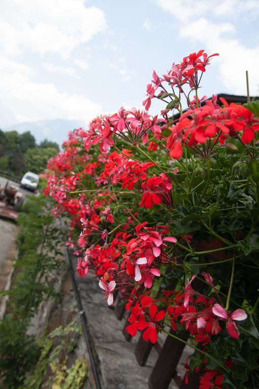 Agriturismo Al Castagneto Villa Mazzo di Valtellina Buitenkant foto