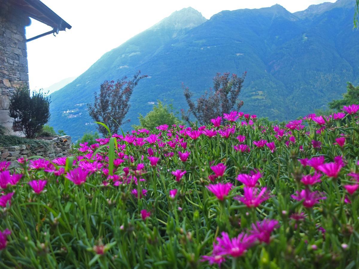 Agriturismo Al Castagneto Villa Mazzo di Valtellina Buitenkant foto