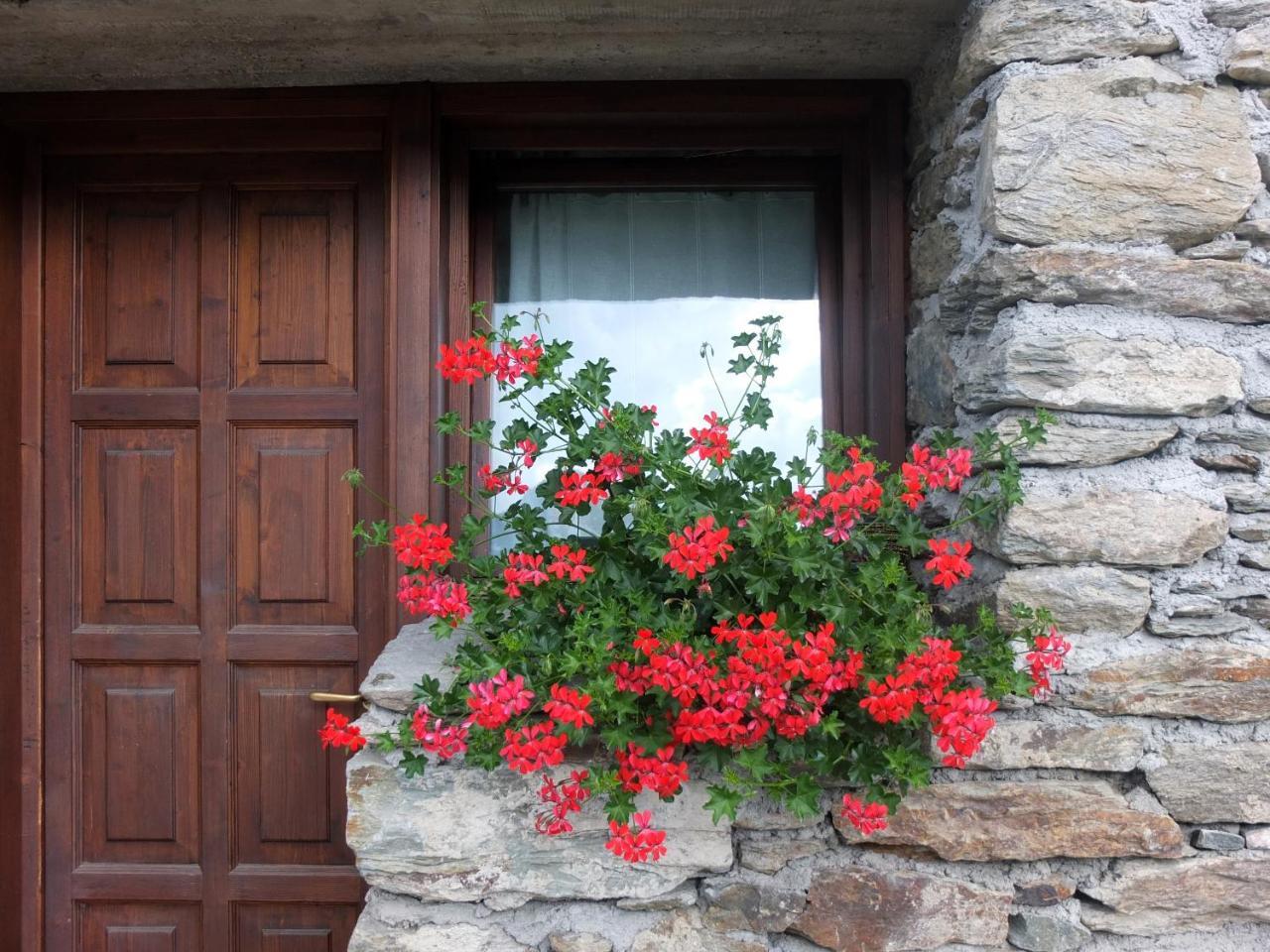 Agriturismo Al Castagneto Villa Mazzo di Valtellina Buitenkant foto