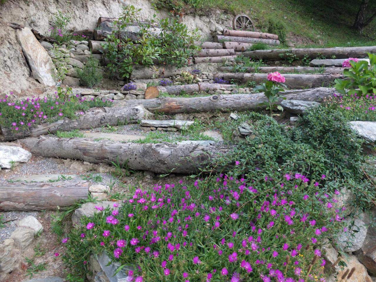 Agriturismo Al Castagneto Villa Mazzo di Valtellina Buitenkant foto