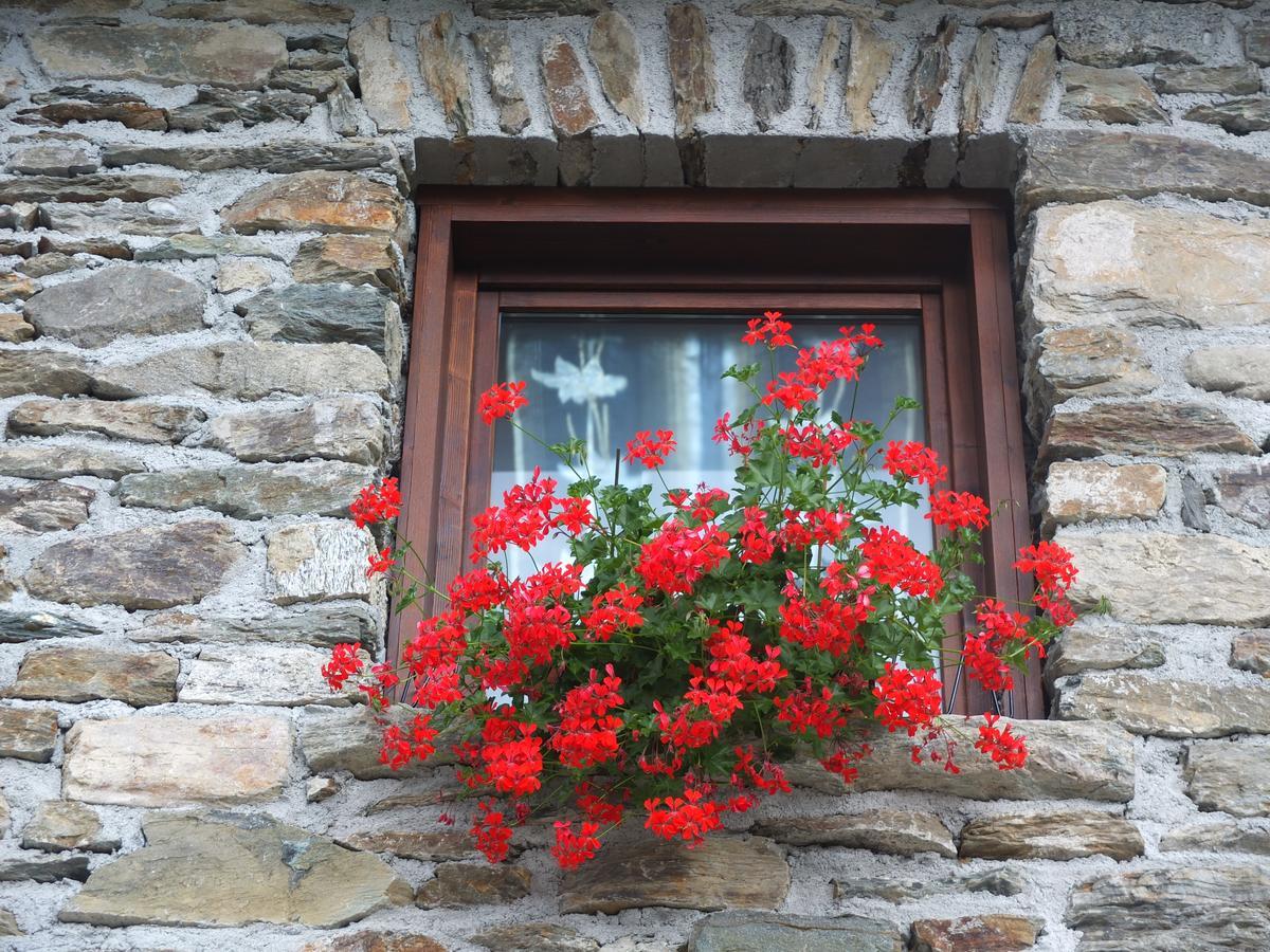 Agriturismo Al Castagneto Villa Mazzo di Valtellina Buitenkant foto